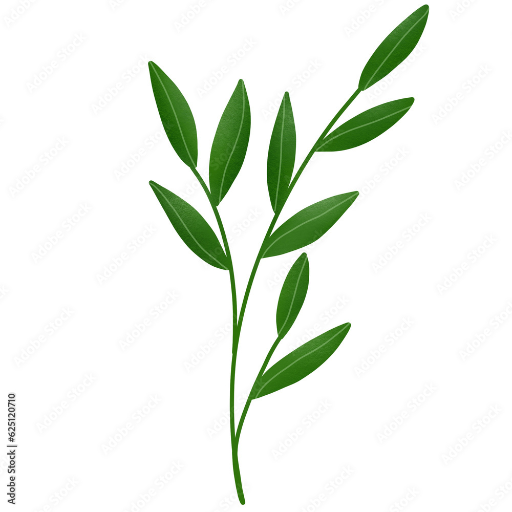 Obraz premium Watercolor Leaf 