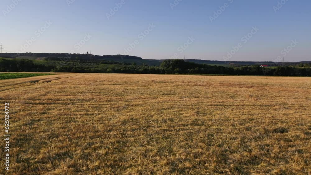 Slow flight over a wheat field or farmland in southern germany under a blue sky in summer Slow flight over a wheat field or farmland in southern germany under a blue sky in summer