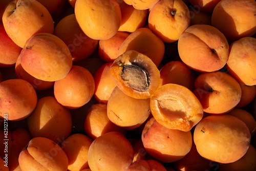 apricots on the market