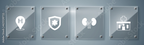 Set Hospital building, Human kidneys, Life insurance and Location hospital. Square glass panels. Vector