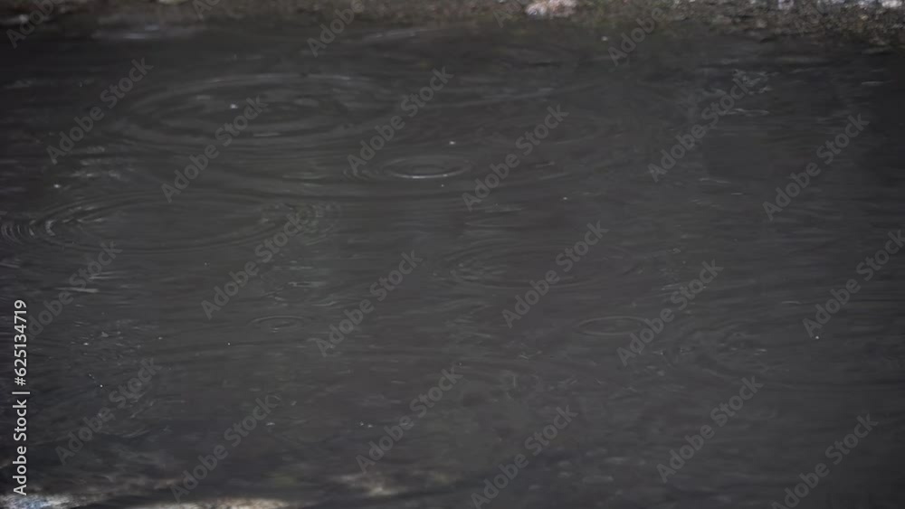 Drops of water fall into a puddle in rainy weather. Drops of water fall into a puddle in rainy weather.