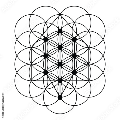 tree of life. Scared Geometry Vector Design Elements. This religion, philosophy, and spirituality symbols. the world of geometry with our intricate illustrations.