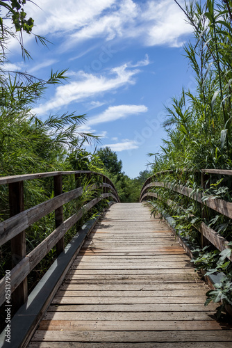 Paisaje puente de madera rústico visto de frente lleno de vegetación y nubes en el cielo