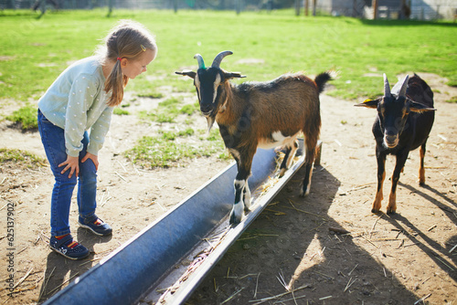 Adorable little girl playing with goats at farm