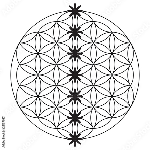 Scared Geometry Vector Design Elements. This is religion, philosophy, and spirituality symbols. the world of geometry with our intricate illustrations.