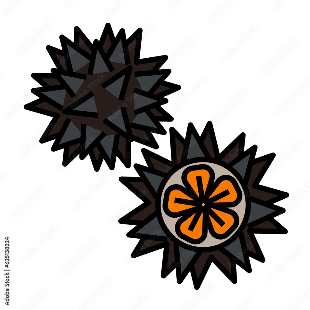 Sea urchin lineal color icon vector image.