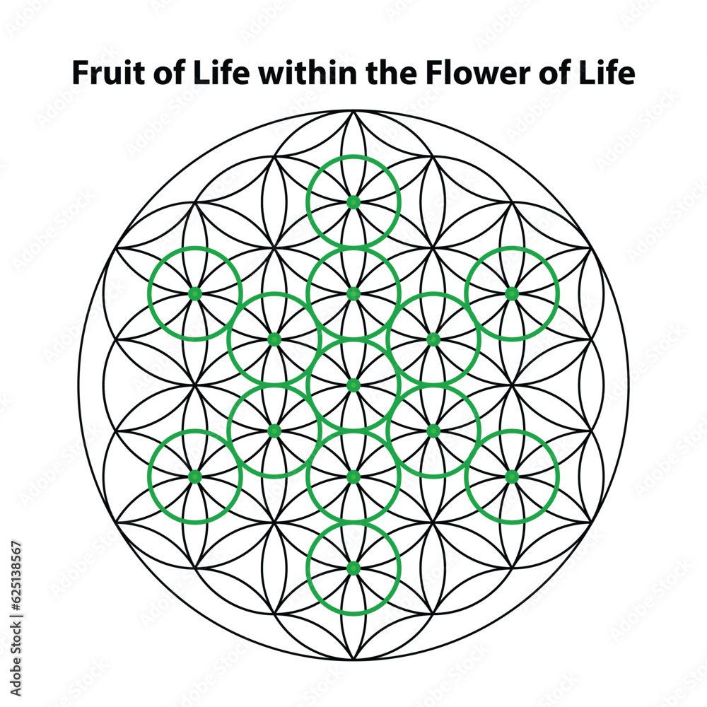Fruit of life. flower of life. Scared Geometry Vector Design Elements. This religion, philosophy, and spirituality symbols. the world of geometry with our intricate illustrations. Fruit of life. flower of life. Scared Geometry Vector Design Elements. This religion, philosophy, and spirituality symbols. the world of geometry with our intricate illustrations.