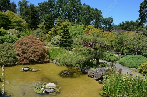 USA California May 2023 Hakone Estate and Gardens in Saratoga shore of a pond with diverse vegetation photo
