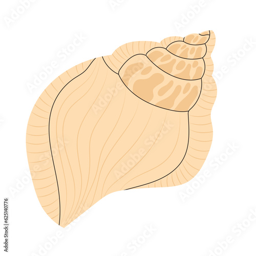 Sea shell with spikes. Spiral twirled seashell. Marine mollusc clam with thorns. Underwater twisted swirled mollusk, shellfish. Flat graphic vector illustration isolated on white background