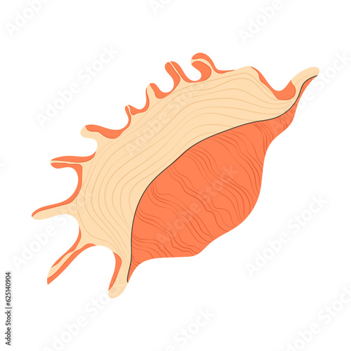 Sea shell. Marine conch, mollusc in seashell. Underwater triton mollusk. Ocean under water shellfish. Exotic beach decoration. Flat vector illustration isolated on white background