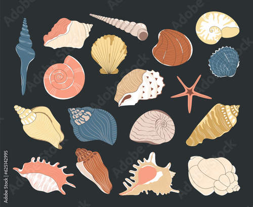 Cartoon corals and seashells, algae underwater elements. Ocean blue natural plants, seashells aquarium set. Shell, laminaria, racy marine clipart. Vector stock illustration, all elements isolated.