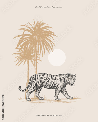 African tiger  bright sun and palm tree in engraving style. Big wild cat hand drawn on a light background. Predatory wild animal of the savannah. Vector illustration.