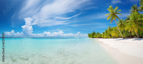 Beautiful beach with white sand, turquoise ocean, blue sky with clouds and palm tree over the water