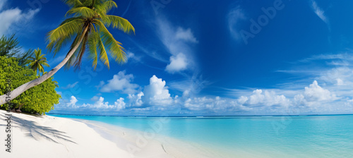 Beautiful beach with white sand, turquoise ocean, blue sky with clouds and palm tree over the water