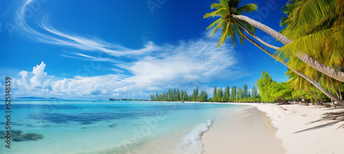 Fototapeta Naklejka Na Ścianę i Meble -  Beautiful beach with white sand, turquoise ocean, blue sky with clouds and palm tree over the water