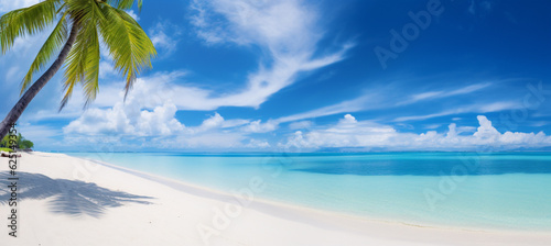 Beautiful beach with white sand, turquoise ocean, blue sky with clouds and palm tree over the water