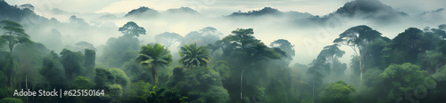 Landscape Mountain And Jungle  Fog and Cloud  Wide Panoramic  Aerial  Digital Art AI