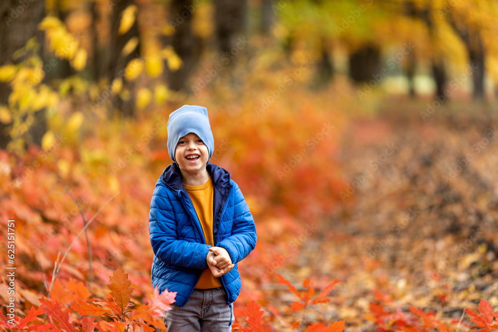 Happy cheerful child boy in bright colorful warm clothes playing among fallen maple leaves and gathering dry bouquet. Sunbeams falling through trees on the autumn forest park at sunset Happy cheerful child boy in bright colorful warm clothes playing among fallen maple leaves and gathering dry bouquet. Sunbeams falling through trees on the autumn forest park at sunset