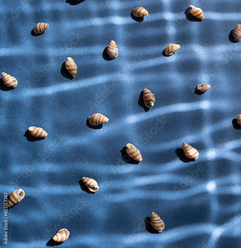 Seashells with underwater shadows on the blue background top view.