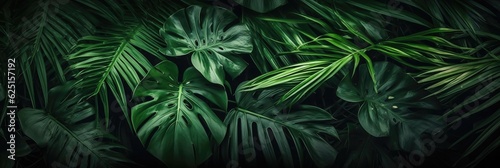Green leaves  Group background of dark green tropical leaves   monstera  palm  coconut leaf  fern  palm leaf bananaleaf  Panorama background. concept of nature. Generative Ai.