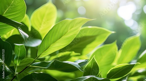 Green leaves, Natural green leaves plants using as spring background cover page greenery environment ecology wallpaper. Generative Ai.