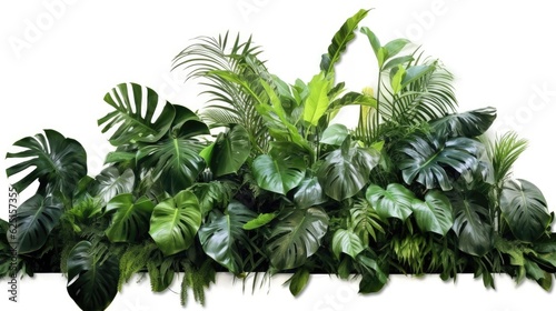 Green leaves  Tropical leaves foliage plant bush floral arrangement nature backdrop isolated on white background. Nature of green leaf. Generative Ai.