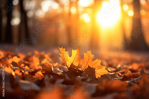 Closeup Of Falling Fall Leaves Under The Setting Suns Backlight. Generative AI