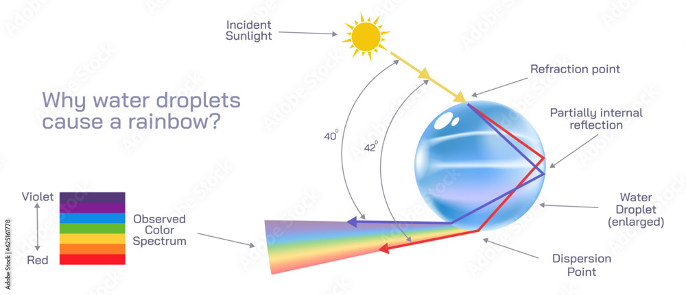 custom made wallpaper toronto digitalWhy rainbow is created in the sky? Water drop and colourful spectrum vector illustration. how water reflects and refracts spectrum in the sunlight image. Reason behind the rainbow in the sky. 