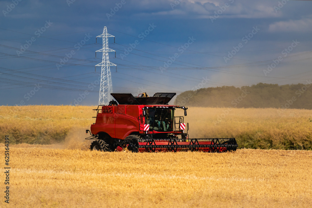Fototapeta premium Harvester mowing wheat, a cereal ripe crop in France