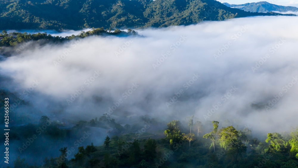 Panorama of Borneo jungle with morning fog