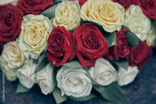 Close-up of beautiful rose buds in a row with space to copy. Background of white and red roses. High quality photo