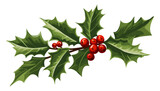 Christmas holly berry with leaves. Christmas plants. Christmas decorations.