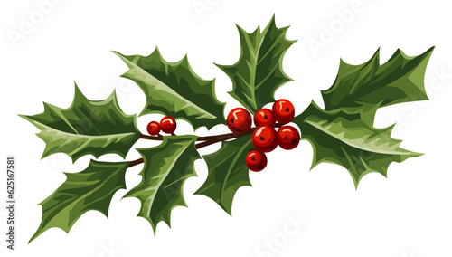 Christmas holly berry with leaves. Christmas plants. Christmas decorations.