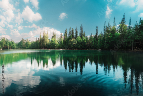 lake in the forest