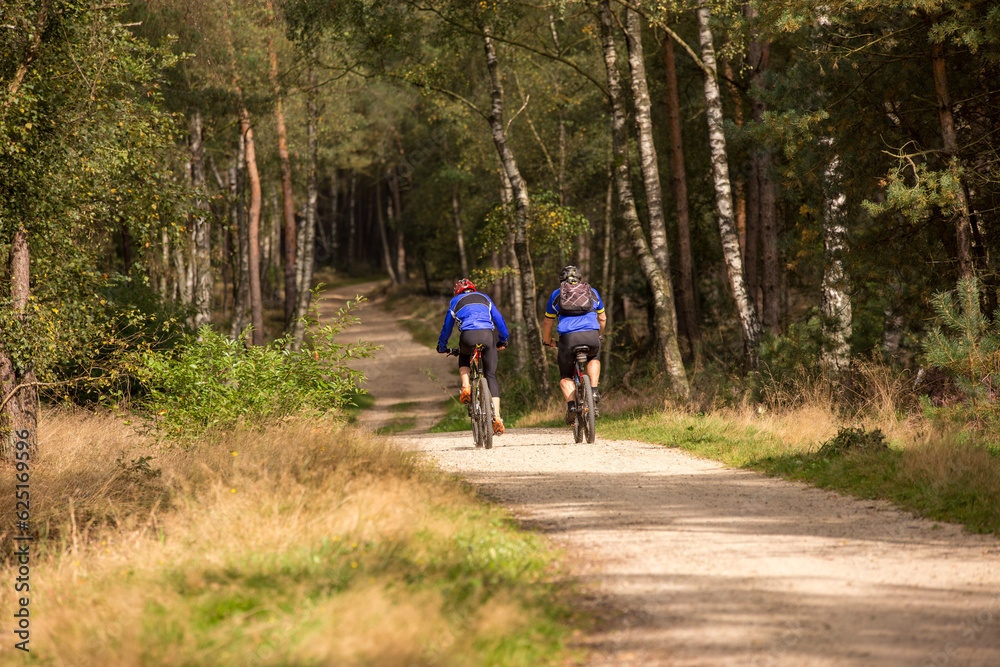 Fototapeta premium Two mountain bikers seen from the back with blue shirts cycling on a forest path