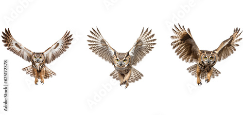 set of 3 flying owls isolated on transparent background