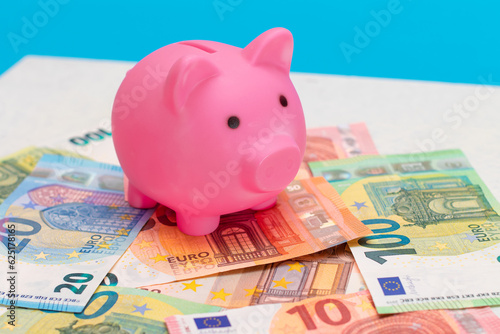 Pink Piggy Bank on the Euro Banknotes. Small Money Box for Cash or Coins. Money Saving Concept