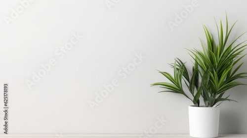 House Plant Banner with Text and Copy Space