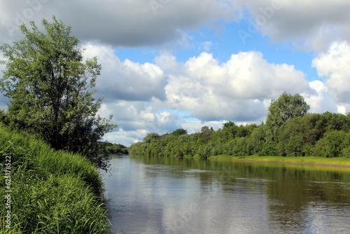 Beautiful view of a flowing river in summer with trees and fields. 