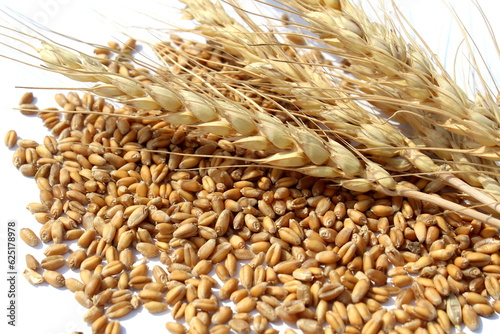 Grains and ears of barley lie on a white background.