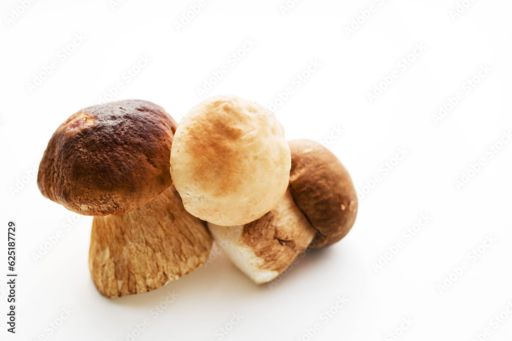 Fresh forest porcini mushrooms on a white surface close up, soft focus
Fresh forest porcini mushrooms on a white surface close up, soft focus