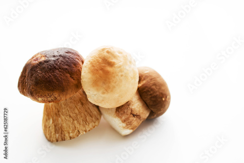 Fresh forest porcini mushrooms on a white surface close up, soft focus 