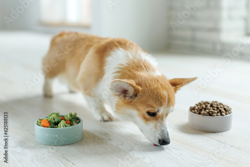The dog eats food with vitamins.