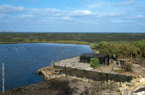 Billede på lærred Tonne de chasseurs, Sentiers du littoral, Domaine de Certes et Graveyron, Bassin