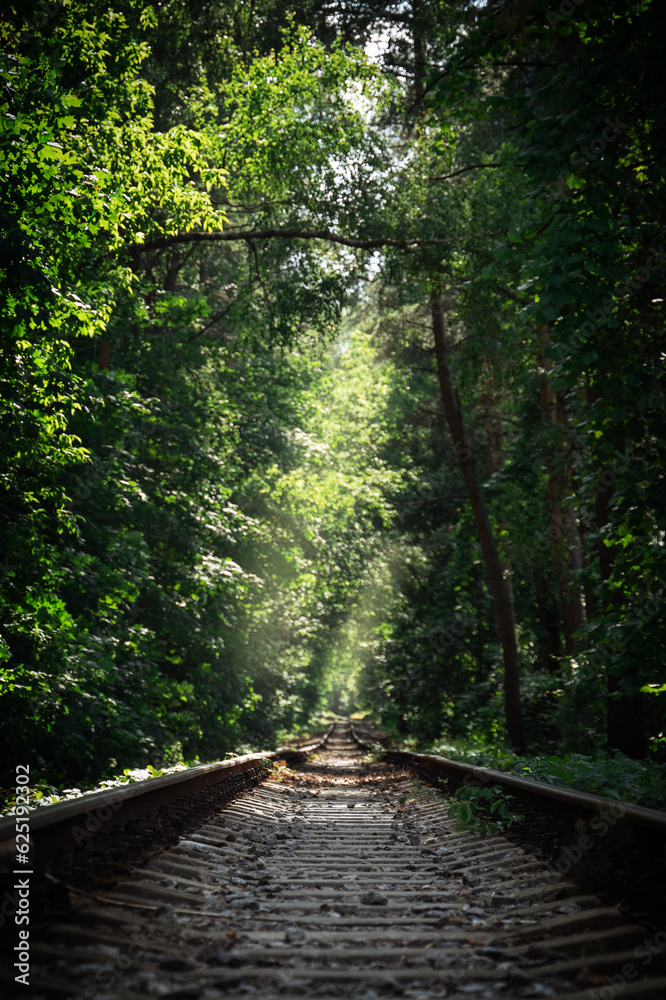 Fototapeta premium abandoned forest rail road in summer forest