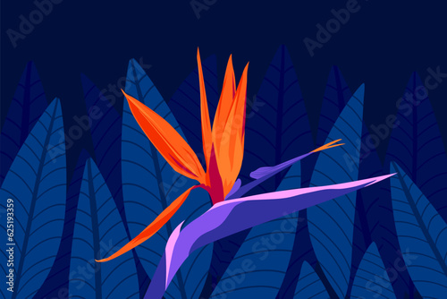 Tropical, summer exotic flowers and leaves, dark night jungle vector illustration. Bird of paradise, orange, purple color Strelitzia floral wallpaper, poster, banner.