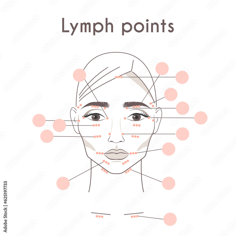 Fototapeta premium Vector abstract female face with a diagram of the location of the lymph points.