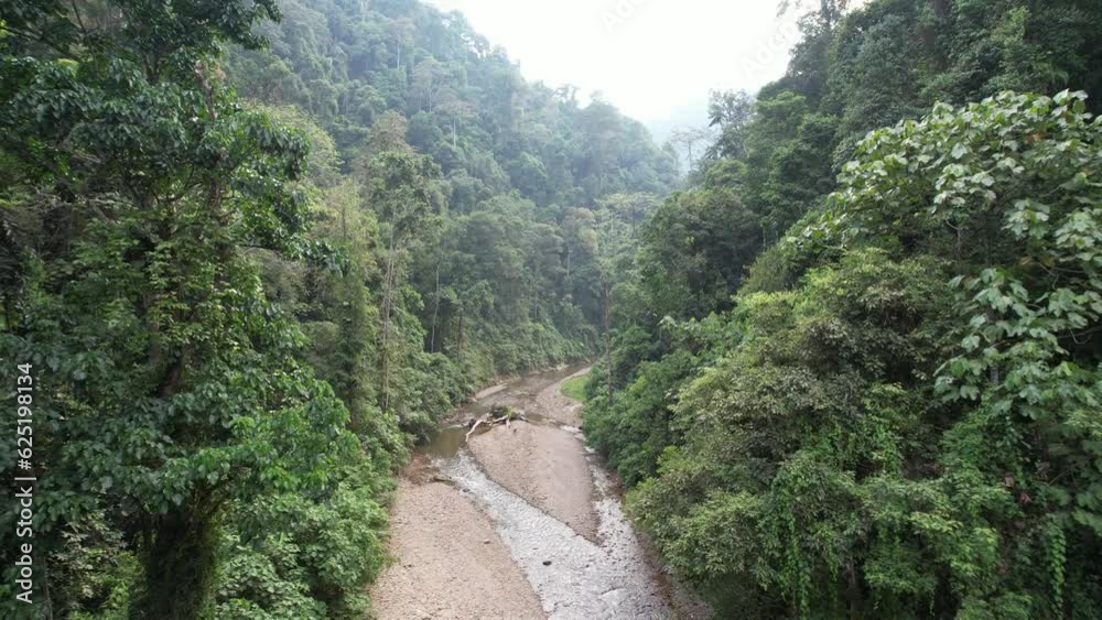 Bukit Lawang Jungle, Sumatra, Indonesia Bukit Lawang Jungle, Sumatra, Indonesia