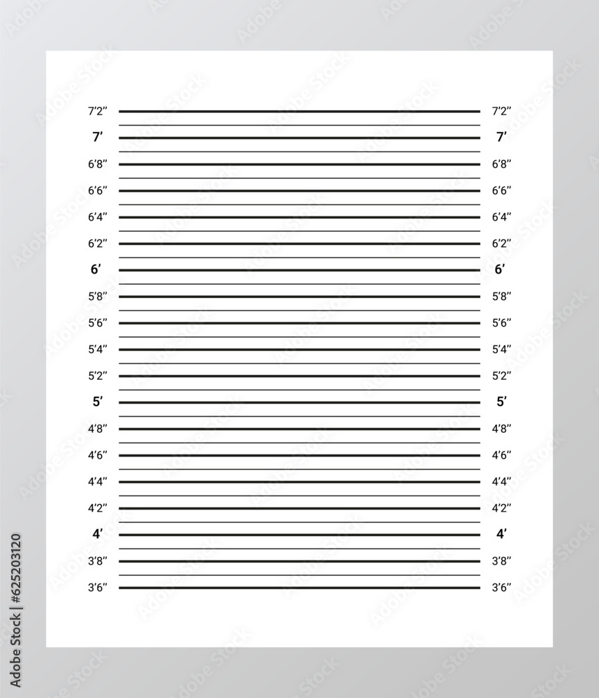 Vetor De Identification Frame For Crime Arrest Wall Measurements Template Mug Shot Criminal 6507