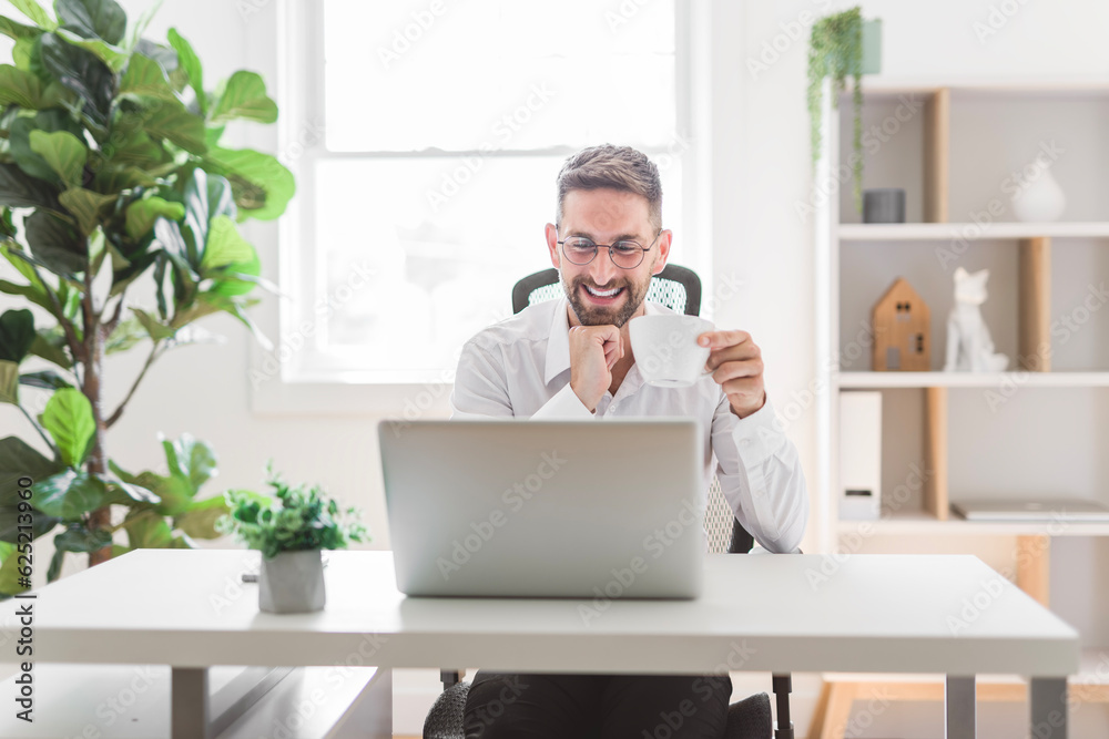 Mature business man using laptop computer in office.